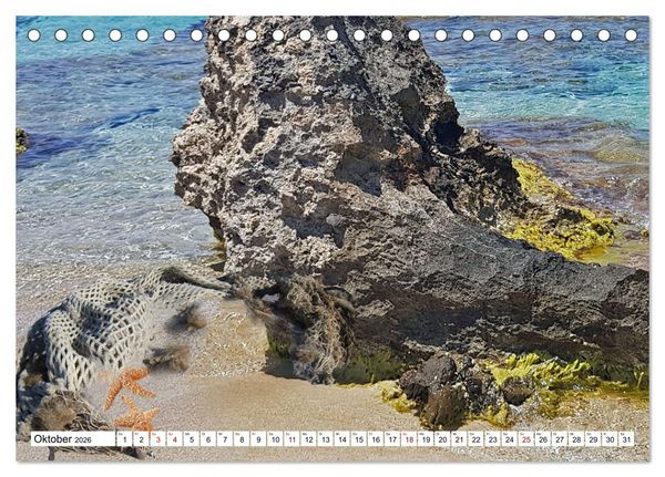 Produktbild: Strandgut Szenen (Tischkalender 2026 DIN A5 quer), CALVENDO Monatskalender
