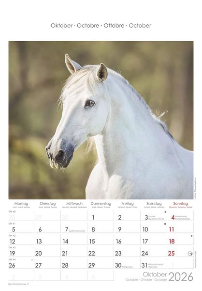 Pferde 2026 - Bildkalender 23,7x34 cm - Kalender mit Platz für Notizen - mit vielen Zusatzinformationen - Horses - Wandkalender - Alpha Edition