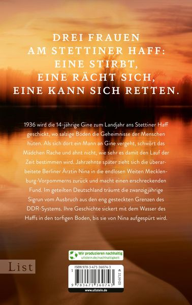 Produktbild: Unter dem Moor