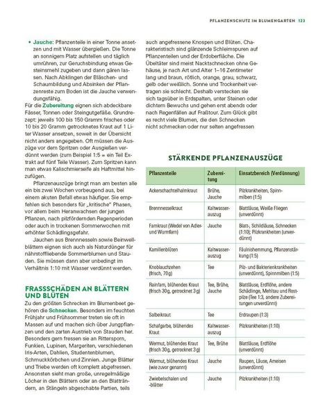 Produktbild: Das gro&szlig;e Buch der Stauden und Sommerblumen
