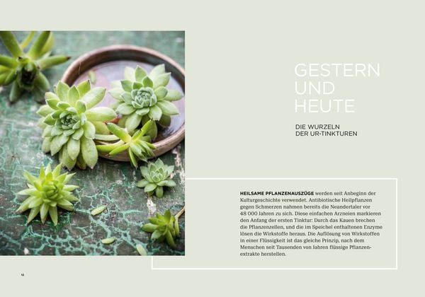 Produktbild: Vergessene Heiltinkturen