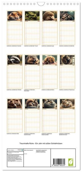 Produktbild: Familienplaner 2026 - Traumhafte Ruhe - Ein Jahr mit s&uuml;&szlig;en Schlafm&uuml;tzen mit 5 Spalten (Wandkalender, 21 x 45 cm) CALVENDO