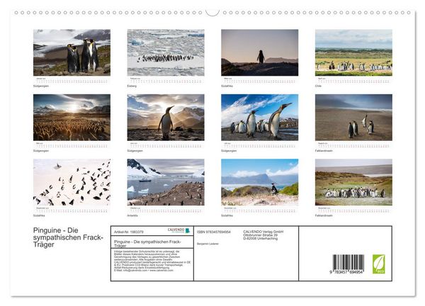 Produktbild: Pinguine - Die sympathischen Frack-Tr&auml;ger (hochwertiger Premium Wandkalender 2026 DIN A2 quer), Kunstdruck in Hochglanz