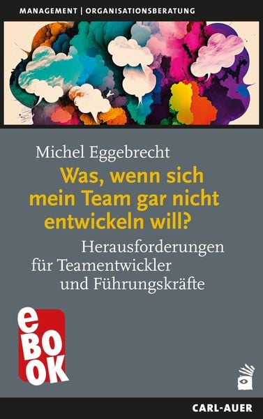 Produktbild: Was, wenn sich mein Team gar nicht entwickeln will?
