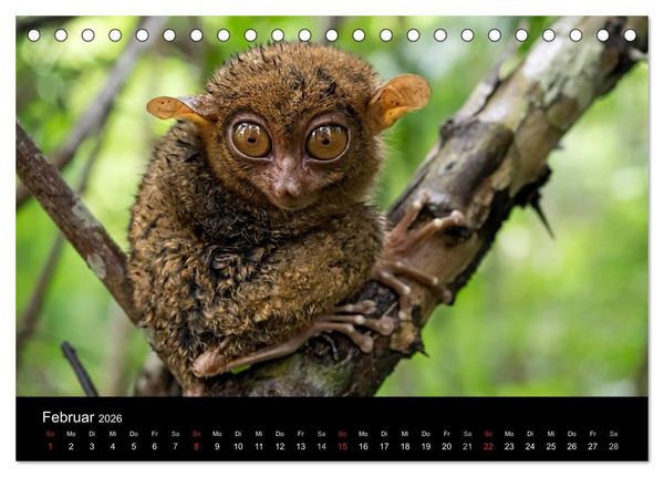 Produktbild: Philippinen - Natur und Fiesta (Tischkalender 2026 DIN A5 quer), CALVENDO Monatskalender