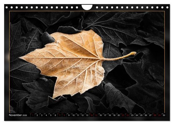 Produktbild: Blattkunstwerke (Wandkalender 2026 DIN A4 quer), CALVENDO Monatskalender