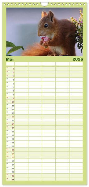 Produktbild: Familienplaner 2026 - Eichh&ouml;rnchen Kinder mit 5 Spalten (Wandkalender, 21 x 45 cm) CALVENDO