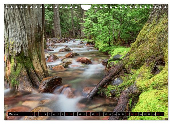Produktbild: Waldwasser (Wandkalender 2026 DIN A4 quer), CALVENDO Monatskalender