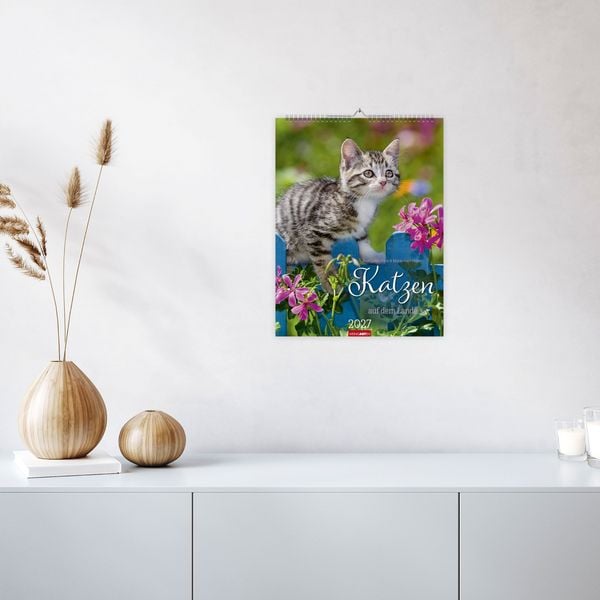Produktbild: Katzen auf dem Lande Kalender 2027