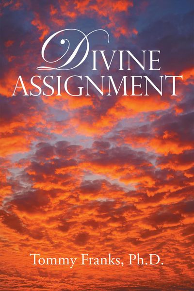Produktbild: Divine Assignment