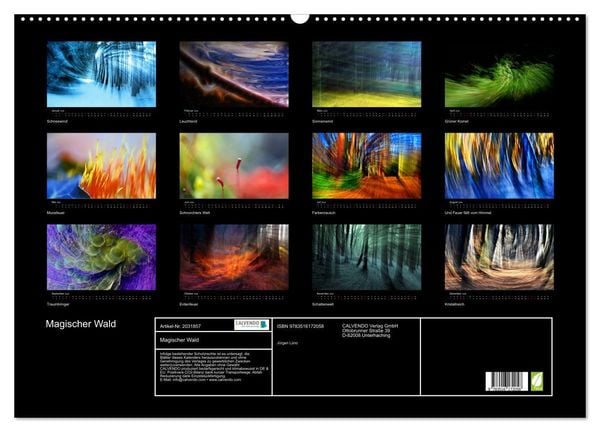 Produktbild: Magischer Wald (Wandkalender 2026 DIN A2 quer), CALVENDO Monatskalender