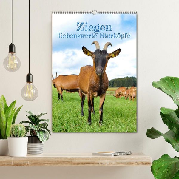 Produktbild: Ziegen - liebenswerte Sturk&ouml;pfe (Wandkalender 2026 DIN A2 hoch), CALVENDO Monatskalender
