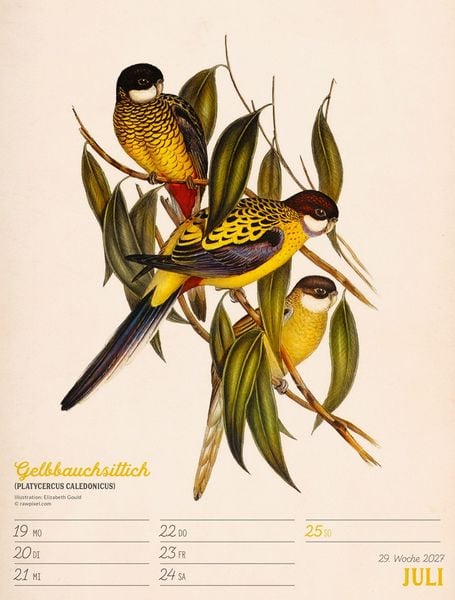 Produktbild: Wunderbare Vogelwelt Wochenplaner Kalender 2027