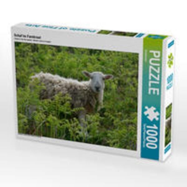 CALVENDO Puzzle Schaf im Farnkraut | 1000 Teile Lege-Größe 64x48cm Foto-Puzzle für glückliche Stunden
