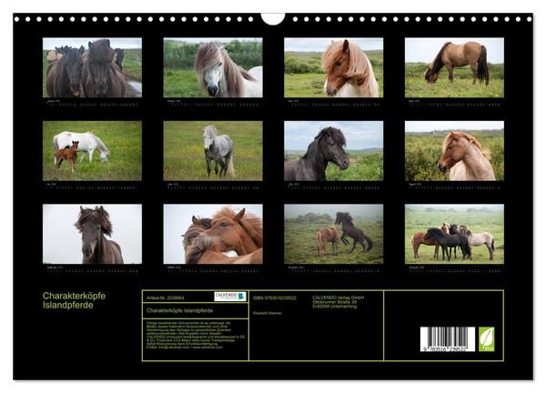 Produktbild: Charakterk&ouml;pfe Islandpferde (Wandkalender 2026 DIN A3 quer), CALVENDO Monatskalender