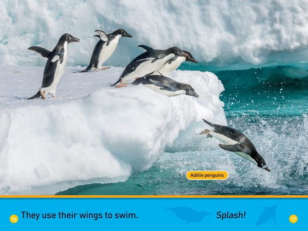 Produktbild: Hello, Penguin! (National Geographic Kids Readers, Pre-Reader)