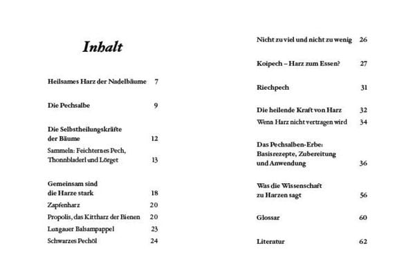 Das große kleine Buch: Harz- und Pechsalben