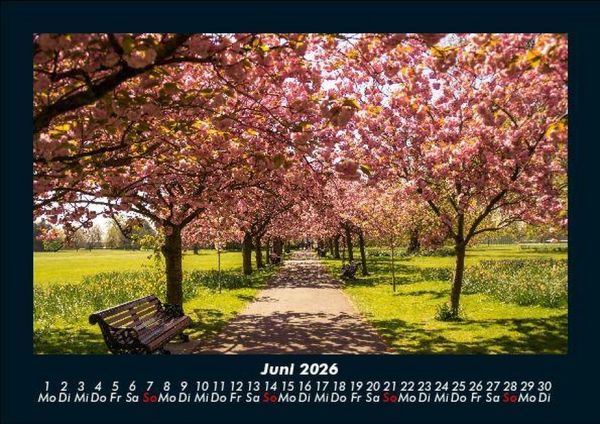 Produktbild: B&auml;ume 2026 Fotokalender DIN A5