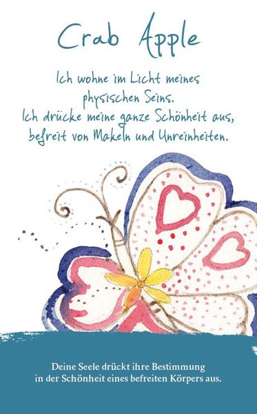 Produktbild: Die Bachbl&uuml;ten Karten