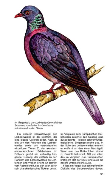 Produktbild: Teneriffa Blaue Finken - Bl&uuml;tenpracht