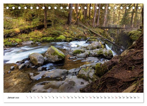 Produktbild: The Olympic National Park - Washington USA (Tischkalender 2026 DIN A5 quer), CALVENDO Monatskalender