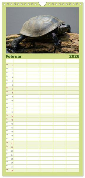 Produktbild: Familienplaner 2026 - Das Leben der Schildkr&ouml;ten mit 5 Spalten (Wandkalender, 21 x 45 cm) CALVENDO