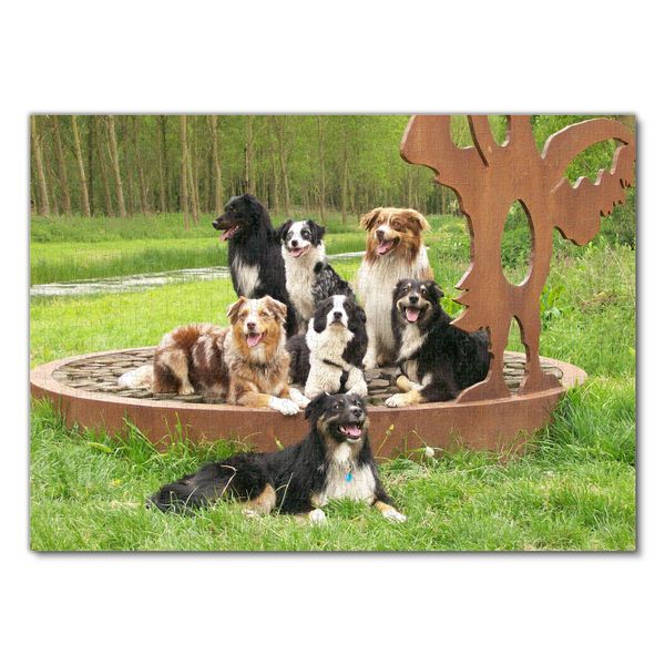 Produktbild: Lais Puzzle Australian Shepherds 1000 Teile