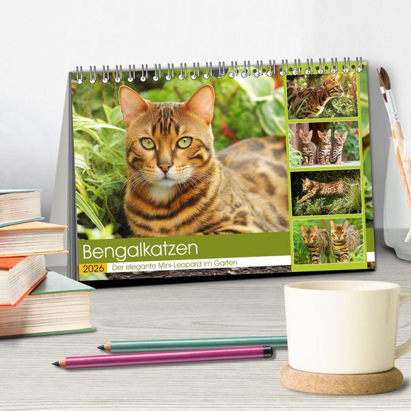Produktbild: Bengalkatzen. Der elegante Mini-Leopard im Garten (Tischkalender 2026 DIN A5 quer), CALVENDO Monatskalender