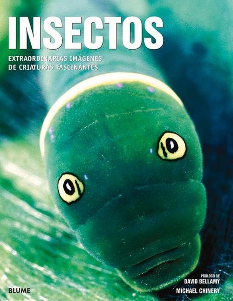 Produktbild: Insectos