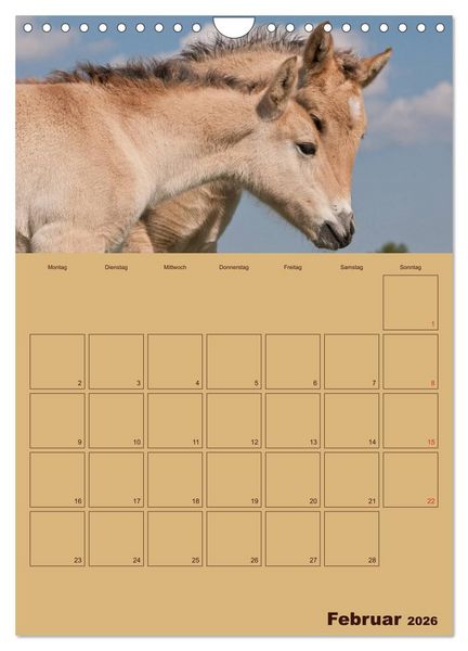 Produktbild: Pferde Gute Freunde (Wandkalender 2026 DIN A4 hoch), CALVENDO Monatskalender