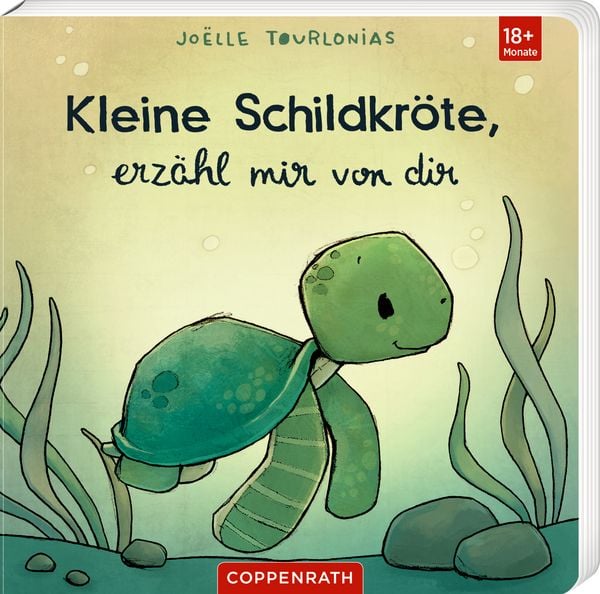 Kleine Schildkröte, erzähl mir von dir, Gebundene Ausgabe von Joëlle Tourlonias, Coppenrath, 978-3-649-65368-4