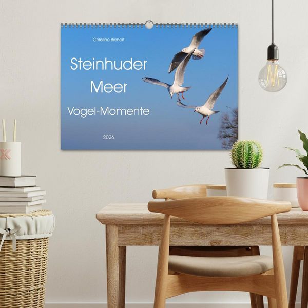 Produktbild: Steinhuder Meer, Vogel-Momente (Wandkalender 2026 DIN A3 quer), CALVENDO Monatskalender