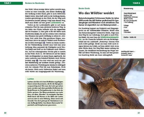 Produktbild: Auf F&ouml;rsters Wegen