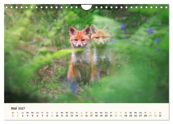 Produktbild: Les murmures de la for&ecirc;t - Regards d'animaux (Calendrier mural 2027 DIN A4 vertical), CALVENDO calendrier mensuel