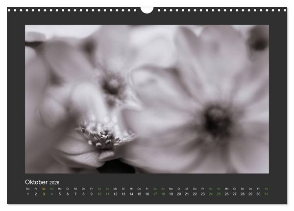 Produktbild: Pflanzen in Schwarz und Wei&szlig; (Wandkalender 2026 DIN A3 quer), CALVENDO Monatskalender