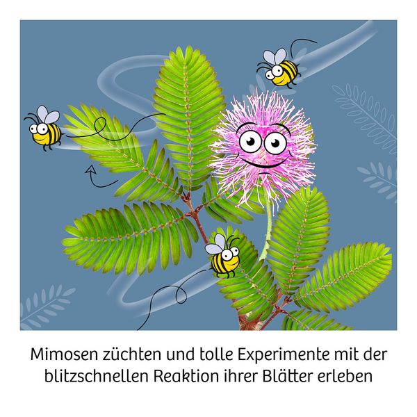 Produktbild: MBE Mimosa Garden INT