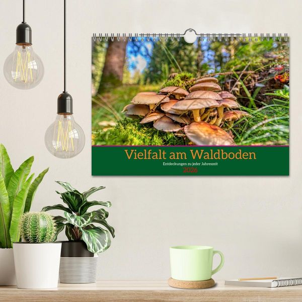 Produktbild: Vielfalt am Waldboden (Wandkalender 2026 DIN A4 quer), CALVENDO Monatskalender