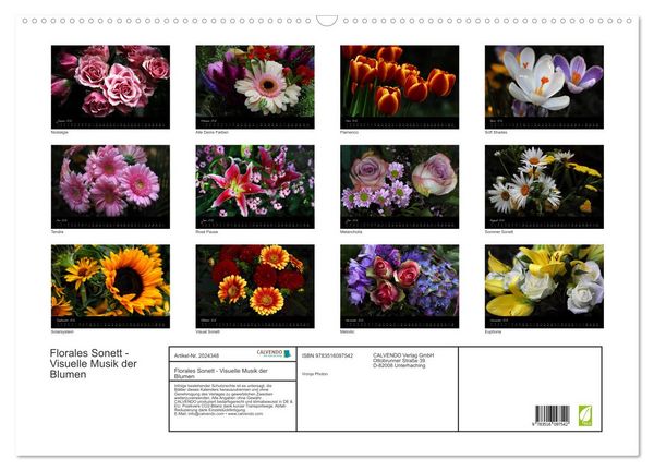 Produktbild: Florales Sonett - Visuelle Musik der Blumen (Wandkalender 2026 DIN A2 quer), CALVENDO Monatskalender