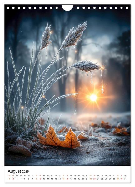Produktbild: Wintermomente - Natur im wei&szlig;en Kleid (Wandkalender 2026 DIN A4 hoch), CALVENDO Monatskalender