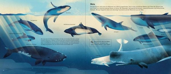 Produktbild: Die Welt der Meere