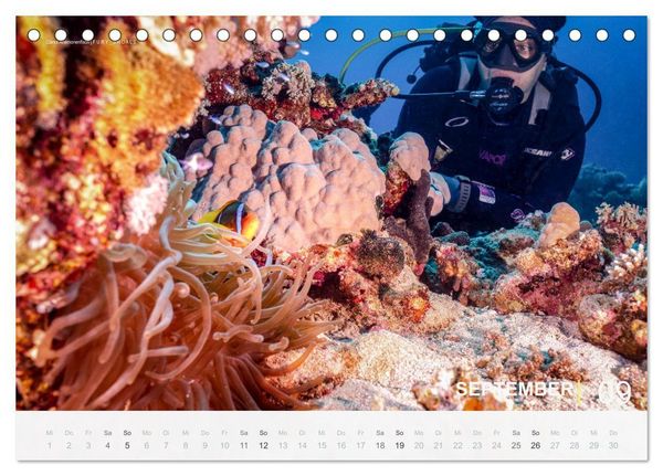 Produktbild: Die sch&ouml;nsten Korallenriffe zum Tauchen in &Auml;gypten (Tischkalender 2027 DIN A5 quer), CALVENDO Monatskalender