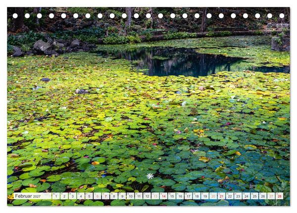 Produktbild: Trauminseln der Welt - Mauritius (Tischkalender 2027 DIN A5 quer), CALVENDO Monatskalender