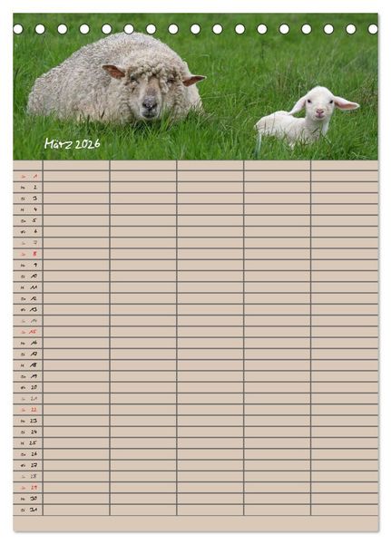 Produktbild: Der bel&auml;mmerte Familienplaner (Tischkalender 2026 DIN A5 hoch), CALVENDO Monatskalender