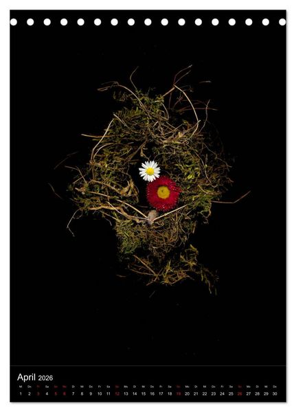Produktbild: Blumen bei Nacht (Tischkalender 2026 DIN A5 hoch), CALVENDO Monatskalender