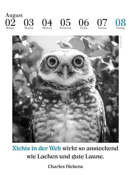 Produktbild: Der literarische Eulenkalender 2027