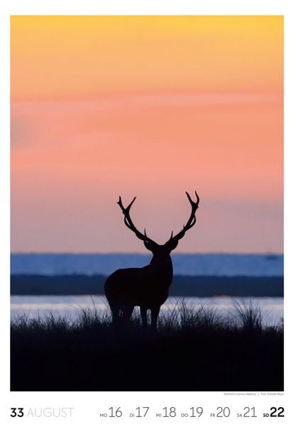 Produktbild: Natur Wochenkalender 2027