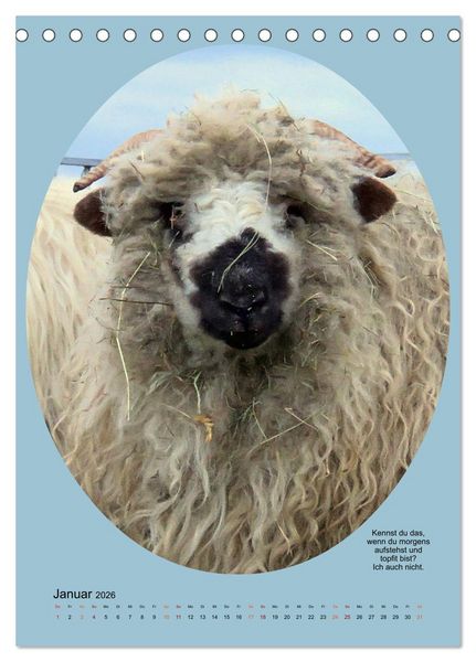 Produktbild: Scharfe Portraits (Tischkalender 2026 DIN A5 hoch), CALVENDO Monatskalender