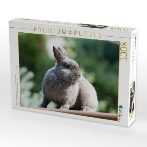 Produktbild: CALVENDO Puzzle Ein Motiv aus dem Kalender Kaninchen - knuddelige Hausgenossen | 1000 Teile Lege-Gr&ouml;&szlig;e 64x48cm Foto-Puzzle f&uuml;r gl&uuml;ckliche Stunden