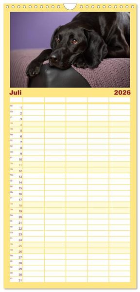 Produktbild: Familienplaner 2026 - Bunte Pfoten mit 5 Spalten (Wandkalender, 21 x 45 cm) CALVENDO