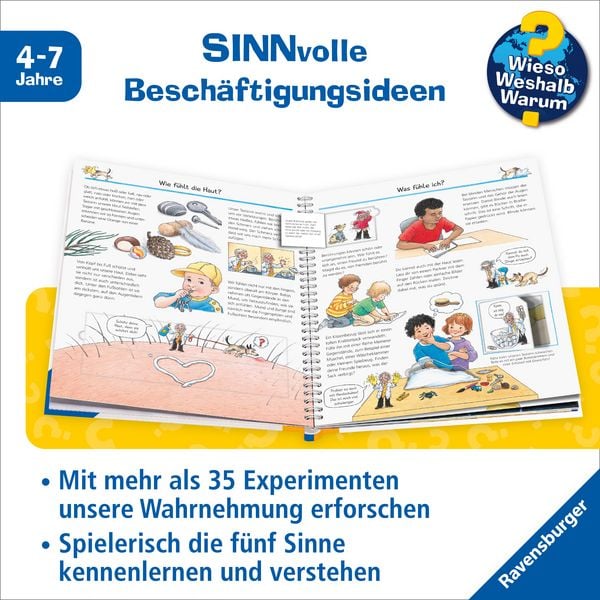 Produktbild: Wieso? Weshalb? Warum? Kernreihe, Band 31 - Experimentieren mit allen Sinnen